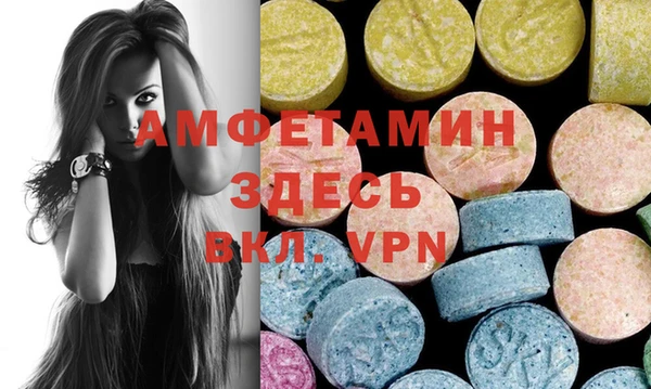 прущие грибы Белая Холуница