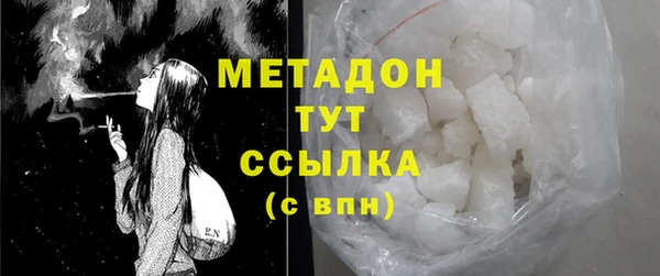 прущие грибы Белая Холуница