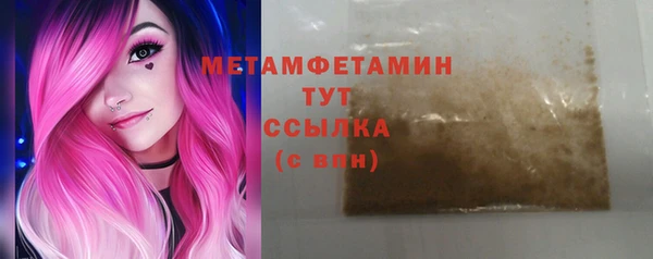 прущие грибы Белая Холуница
