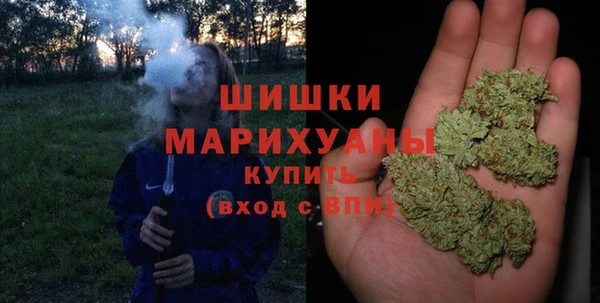 прущие грибы Белая Холуница