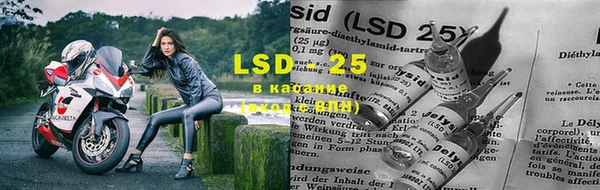 ECSTASY Горняк