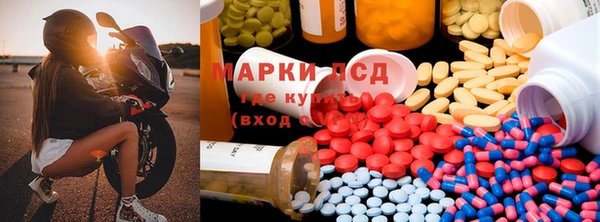 молекула духа Михайлов
