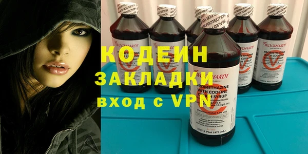 прущие грибы Белая Холуница