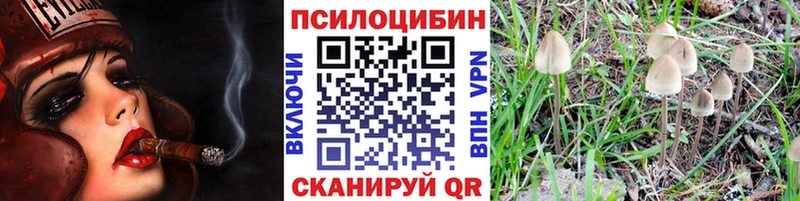 Галлюциногенные грибы GOLDEN TEACHER  Донской 
