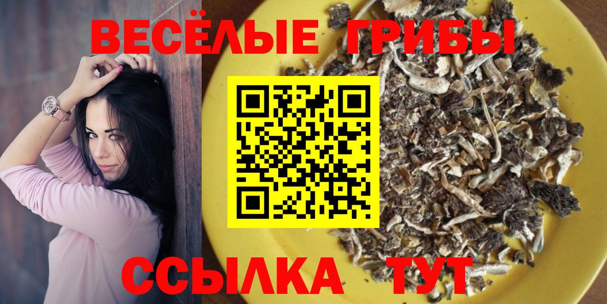 Псилоцибиновые грибы Magic Shrooms  Вход с VPN  закладка  Донской 